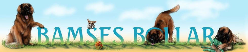 Bamses Bollar