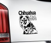 Chihuahua bildekal